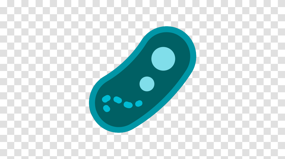 Bacteria Icons, Medication, Pill, Plant, Teeth Transparent Png