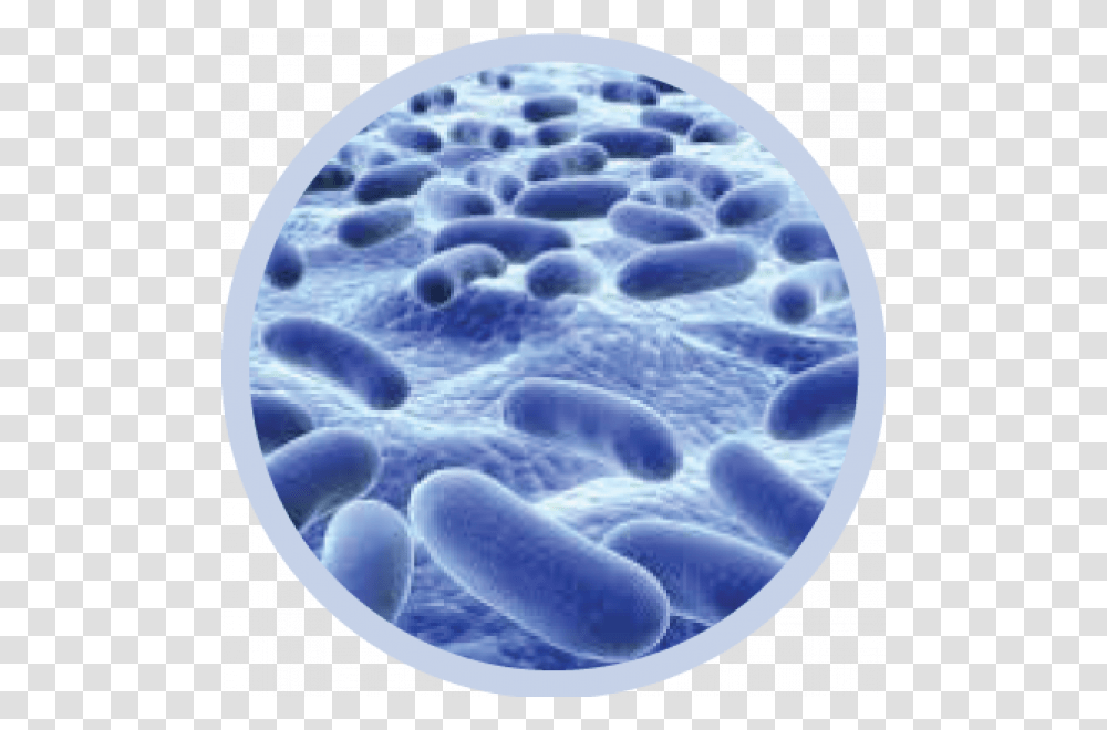 Bacteria Image Bacteria Round, Jacuzzi, Tub, Pill, Medication Transparent Png