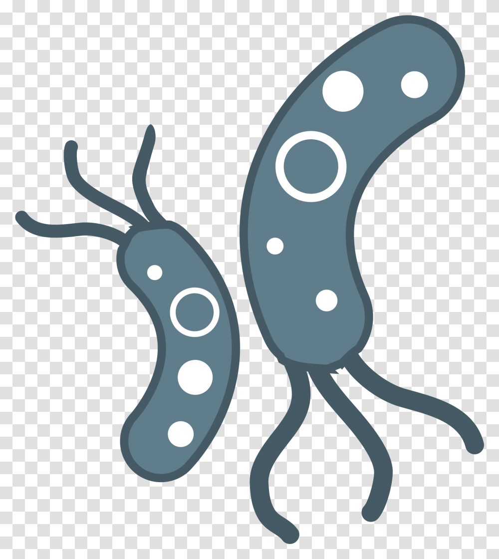 Bacteria Images Background Bacteria Clipart, Plant, Food, Vegetable, Horseshoe Transparent Png