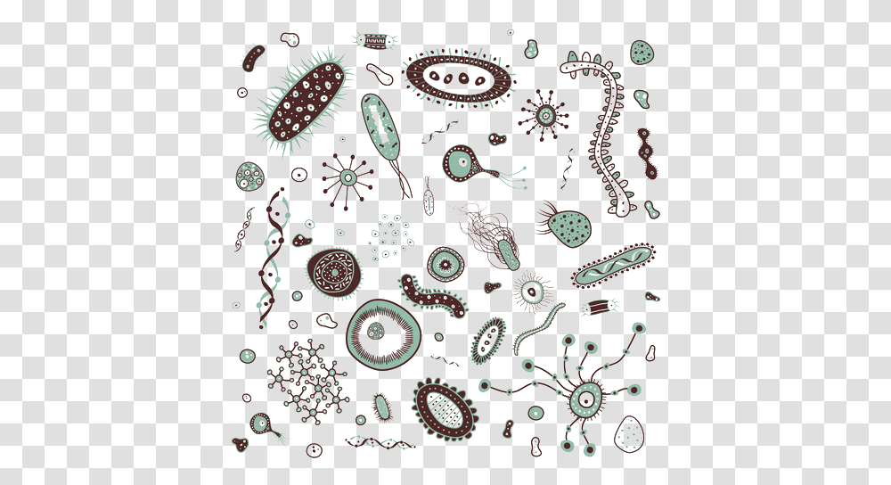 Bacteria Images Bacteria Clipart, Pattern, Rug, Paisley Transparent Png