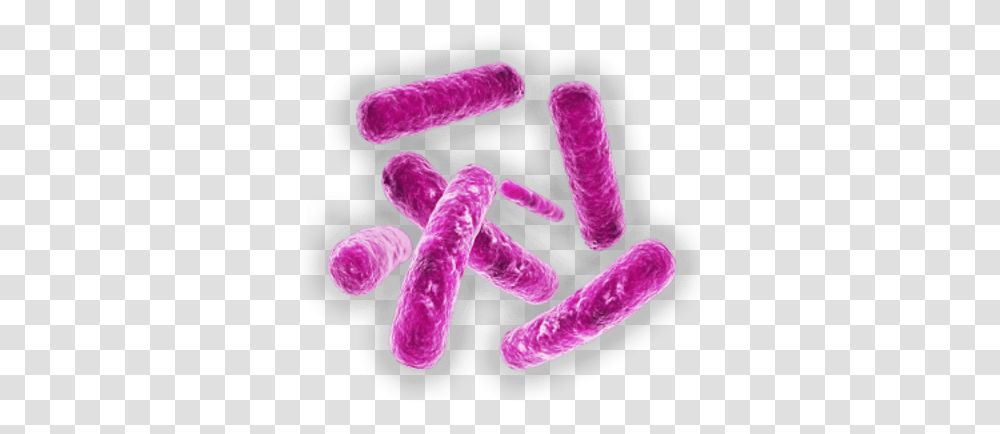 Bacteria Images Microscopic Bacteria, Purple, Food, Gemstone, Jewelry Transparent Png