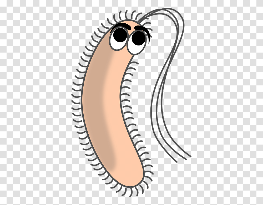 Bacteria, Label, Zipper, Electronics Transparent Png