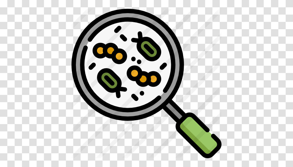 Bacteria, Magnifying Transparent Png