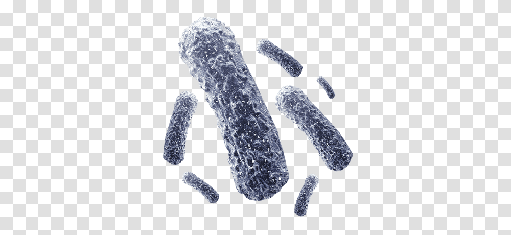 Bacteria, Nature, Outdoors, Water Transparent Png