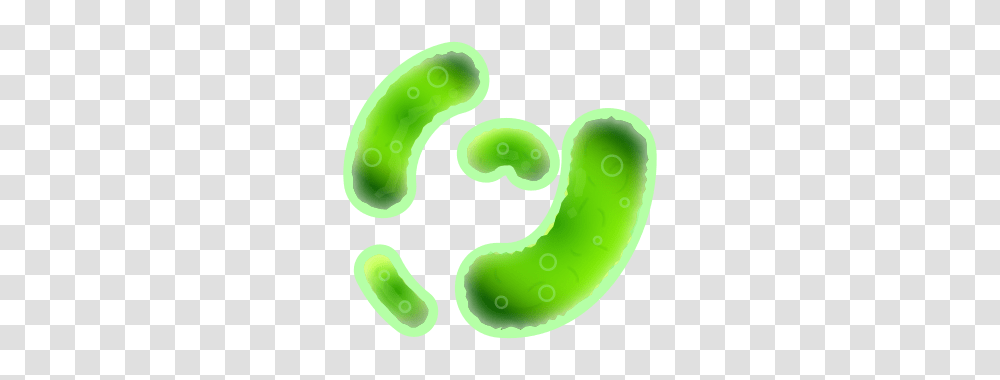 Bacteria, Plant, Food, Toy, Vegetable Transparent Png