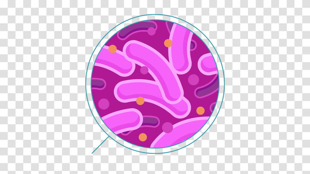 Bacteria, Purple, Label, Rug Transparent Png