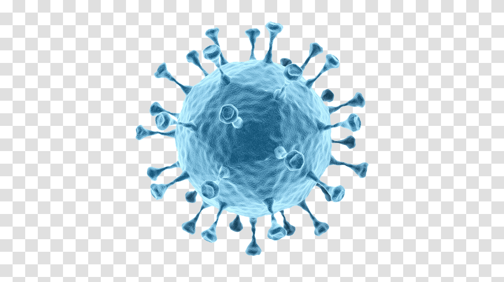 Bacteria, Sphere, Antelope, Wildlife, Mammal Transparent Png