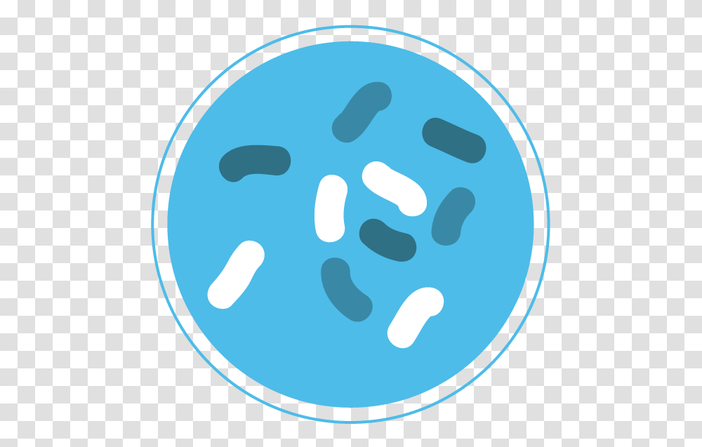 Bacteria, Sphere, Astronomy, Smile Transparent Png