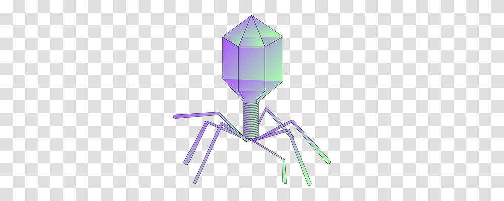 Bacteriophage Technology, Lamp, Glass Transparent Png