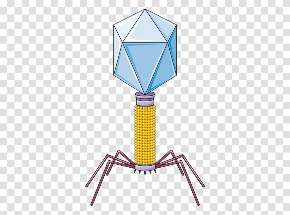 Bacteriophage F, Lamp, Bow, Kite, Toy Transparent Png