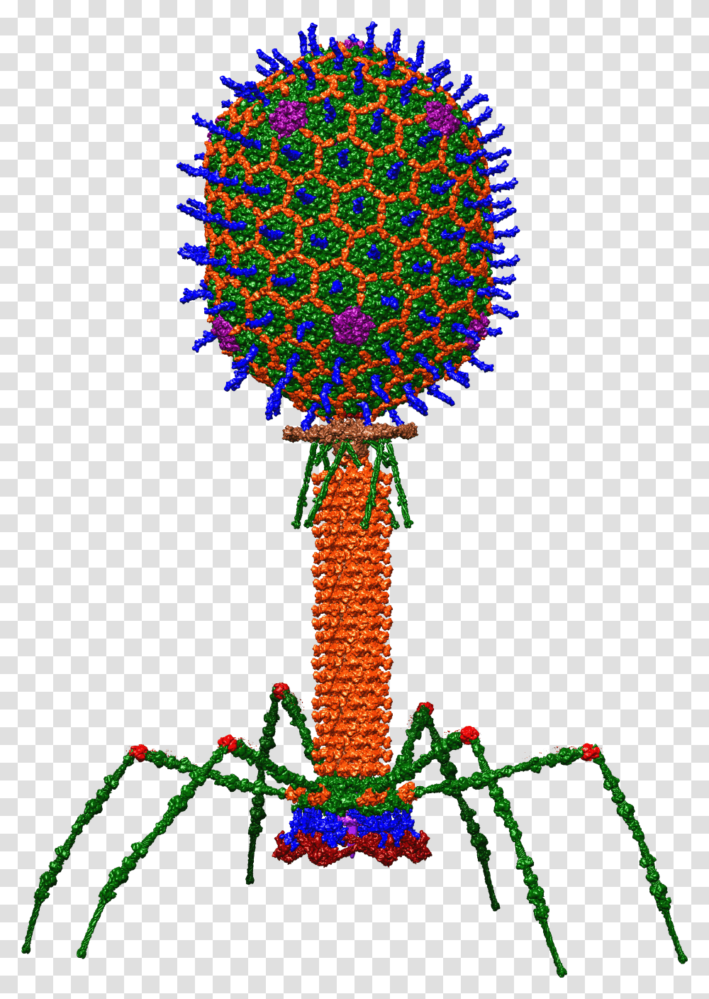 Bacteriophage Wikipedia T4 Bacteriophage, Machine, Architecture, Building, Lighting Transparent Png