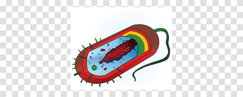 Bacterium Sled, Label, Inflatable Transparent Png