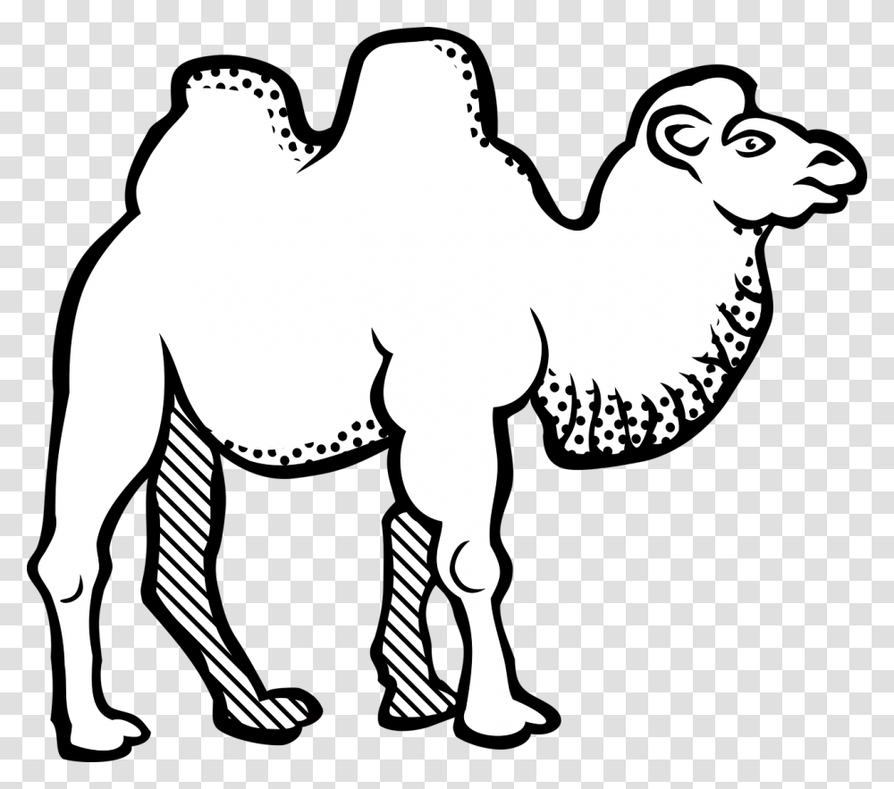 Bactrian Camel Black And White, Mammal, Animal Transparent Png