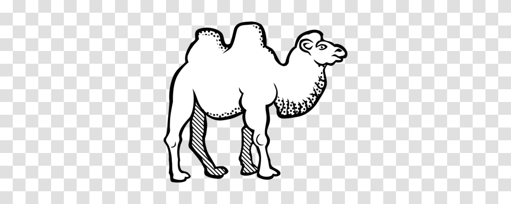 Bactrian Camel Download Drawing Camel Train Camel Graphics Free, Mammal, Animal, Horse Transparent Png