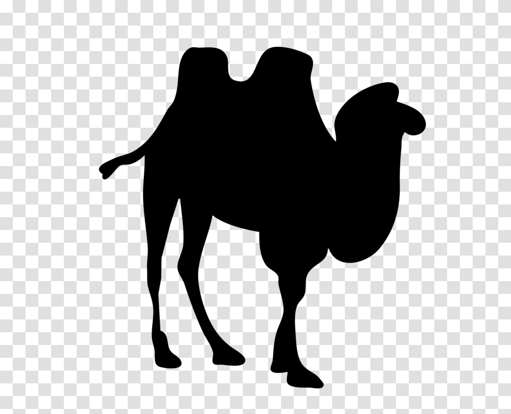 Bactrian Camel Dromedary Silhouette Camel Train, Gray, World Of Warcraft Transparent Png