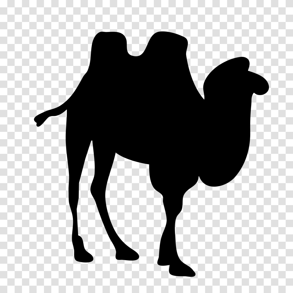 Bactrian Camel Dromedary Silhouette Clip Art, Gray, World Of Warcraft Transparent Png