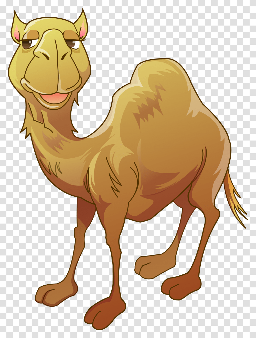 Bactrian Camel Humour Clip Art, Animal, Mammal Transparent Png