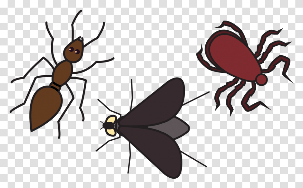 Bad Bugs, Chair, Furniture, Invertebrate, Animal Transparent Png