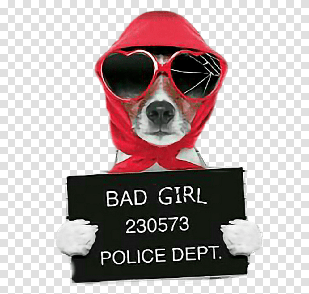 Bad Girl Download Bad Girl Jack Russell, Sunglasses, Accessories, Hood Transparent Png
