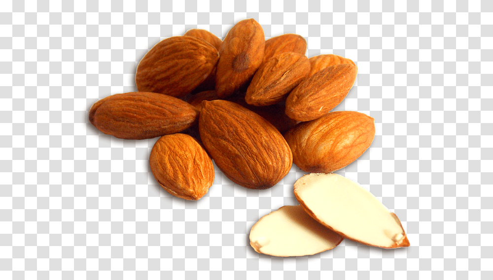 Badam, Plant, Almond, Nut, Vegetable Transparent Png