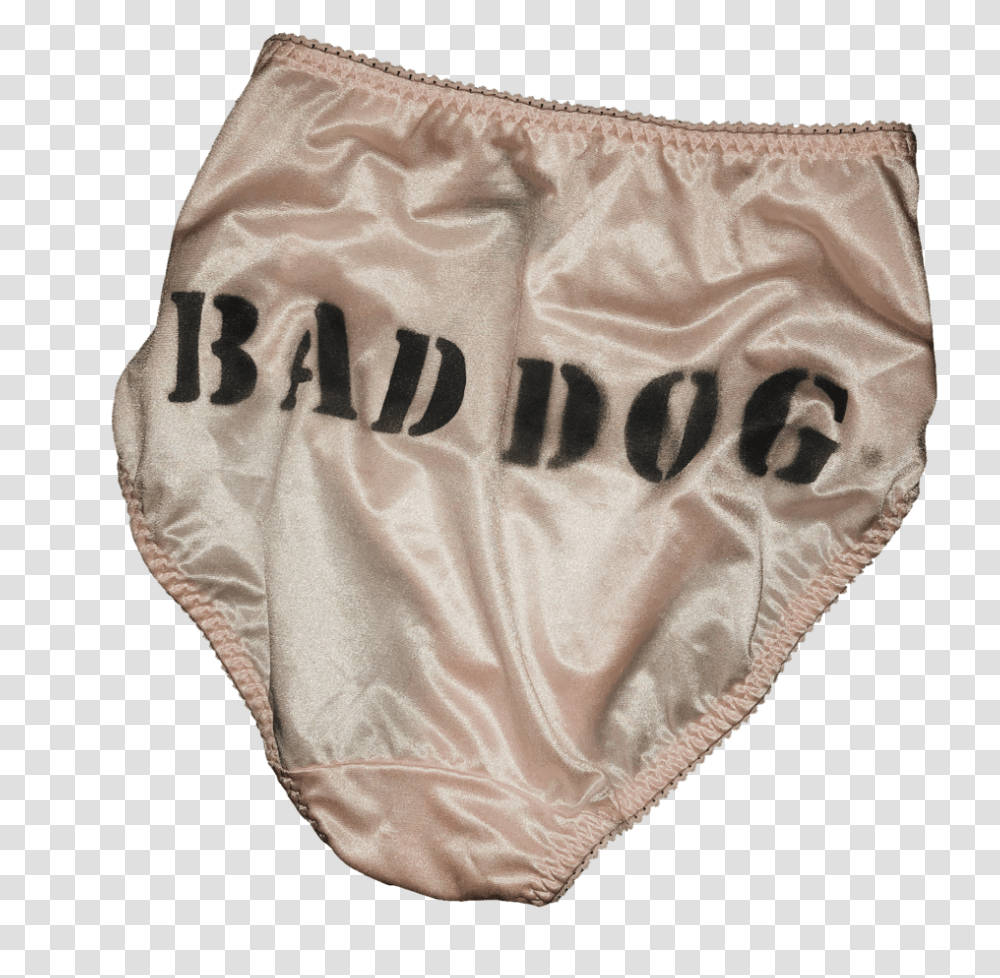 Baddogla Underwear, Diaper, Apparel, Lingerie Transparent Png