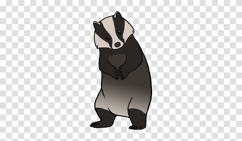 Badger, Animals, Mammal, Raccoon, Wildlife Transparent Png