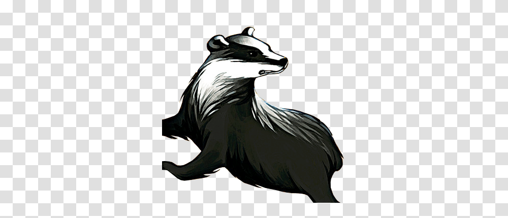Badger, Animals, Mammal, Wildlife, Bird Transparent Png