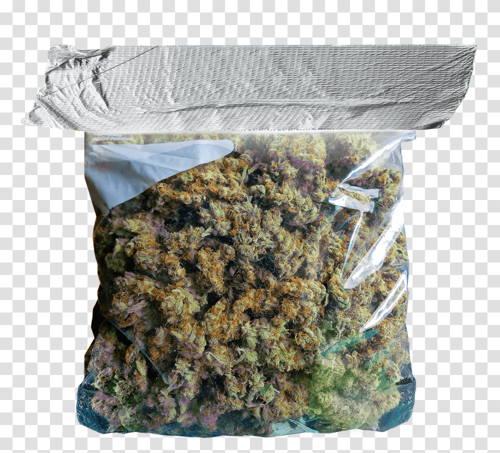 Bag Of Weed Clipart Images Gallery For Free Download Strip Of Duct Tape, Plant, Food, Produce, Lentil Transparent Png