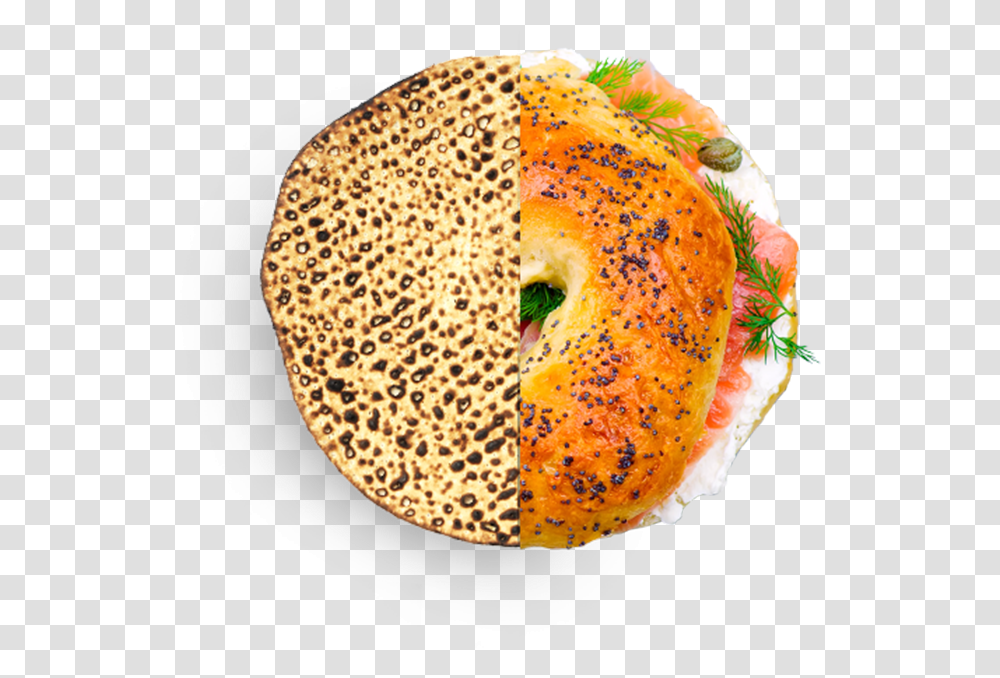 Bagel, Bread, Food, Fungus Transparent Png