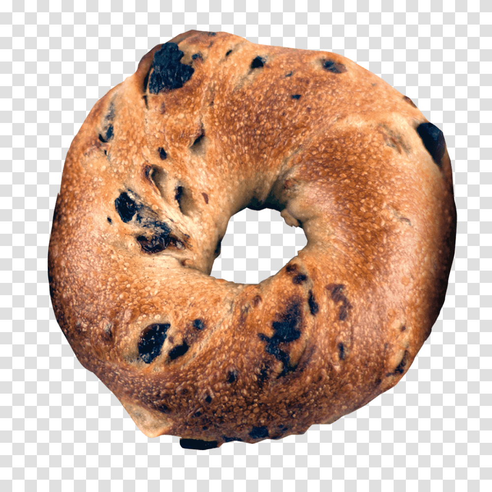 Bagel, Food, Bread, Fungus, Bun Transparent Png