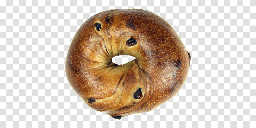 Bagel, Food, Bread Transparent Png