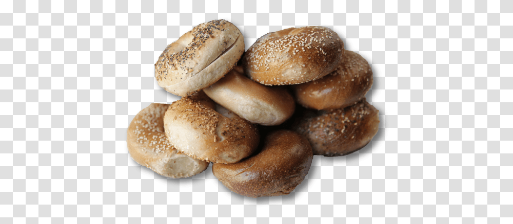 Bagel Landing, Bread, Food, Fungus, Bun Transparent Png