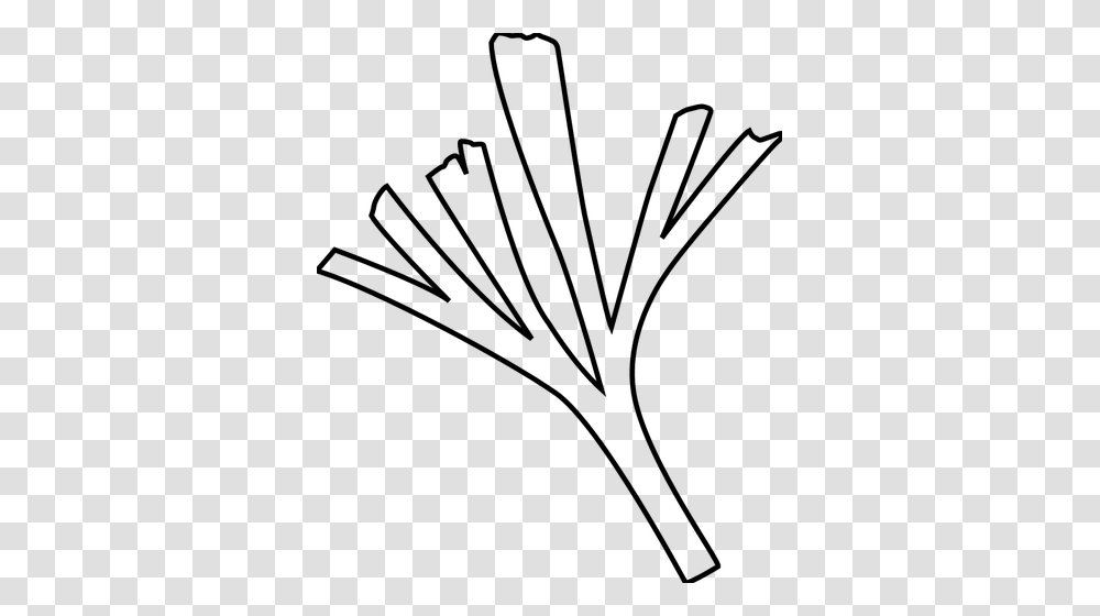 Baiera Plant Vector Clip Art, Gray, World Of Warcraft Transparent Png