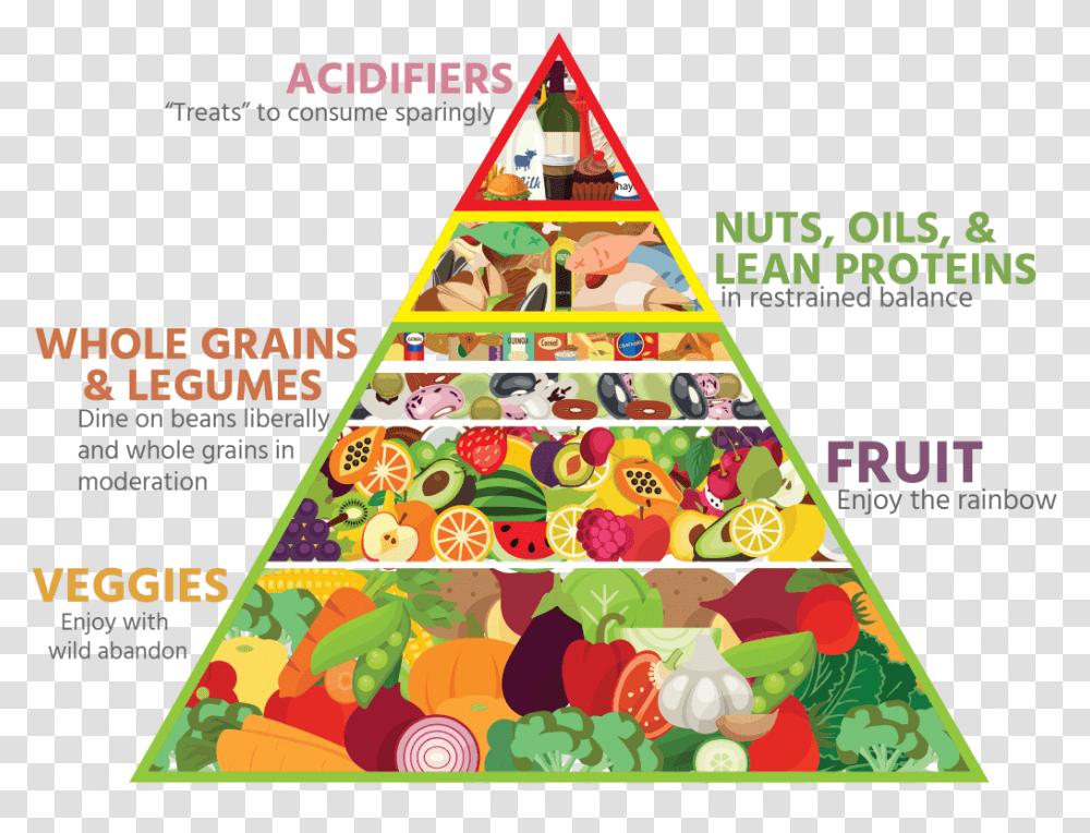 Bailey S Food Pyramid, Triangle, Plant, Advertisement, Tree Transparent Png