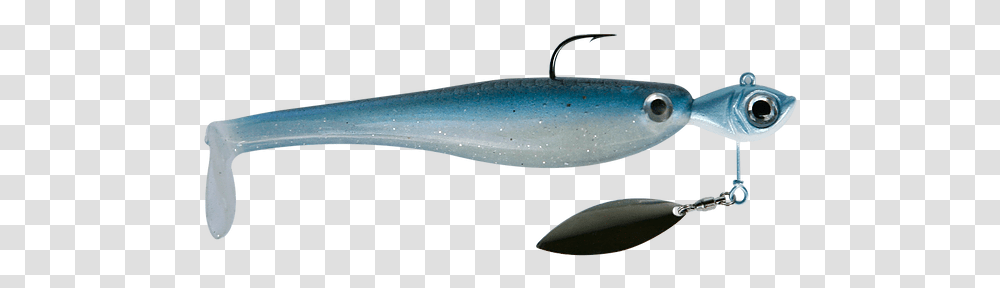 Bait Fish, Animal, Coho, Sea Life, Fishing Lure Transparent Png