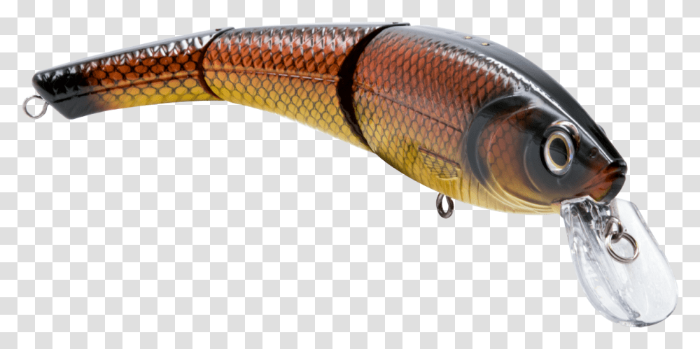 Bait Fish Download Lunge, Fishing Lure, Snake, Reptile, Animal Transparent Png