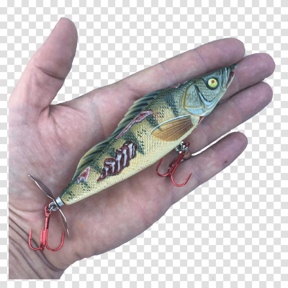 Bait Fish, Person, Human, Fishing Lure, Tattoo Transparent Png