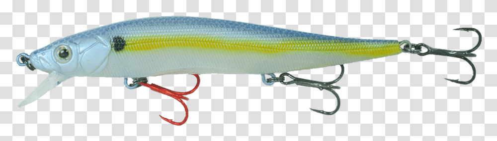 Bait Fish, Sea Life, Animal, Gun, Weapon Transparent Png