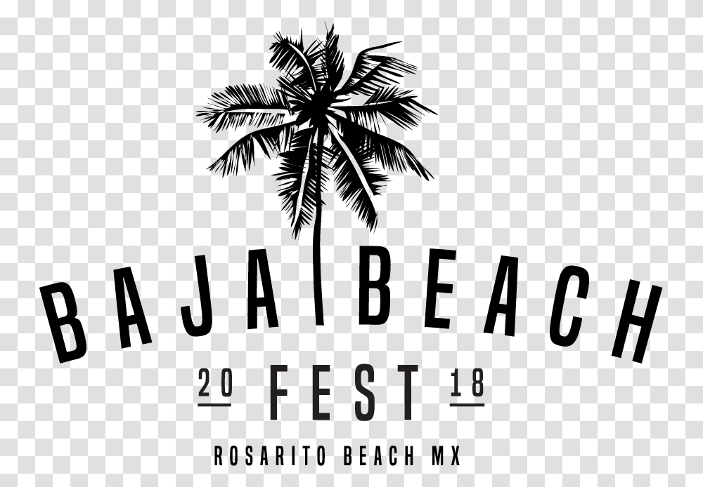 Baja Beach Fest 2018, Tree, Plant, Palm Tree, Arecaceae Transparent Png