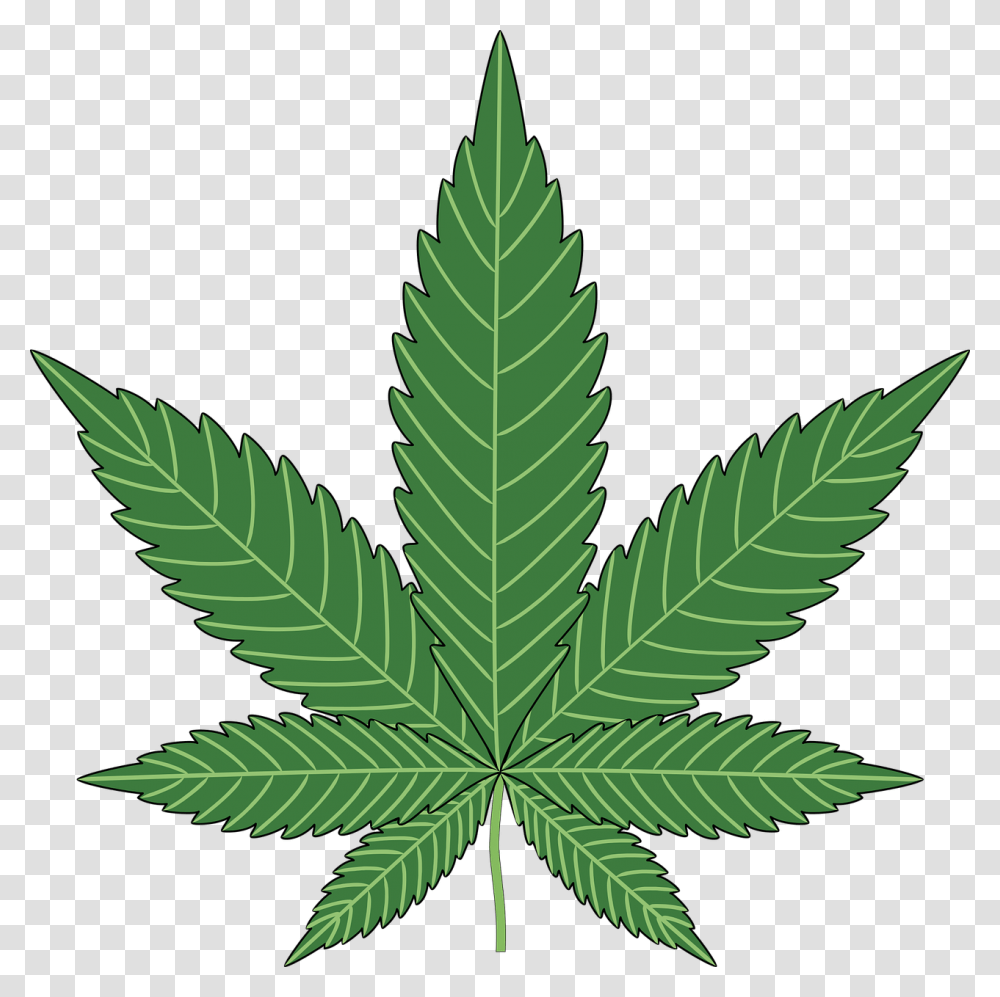 Baking Cannabis Hemp Leaf Marijuana Plant Pot Cannabis, Weed Transparent Png