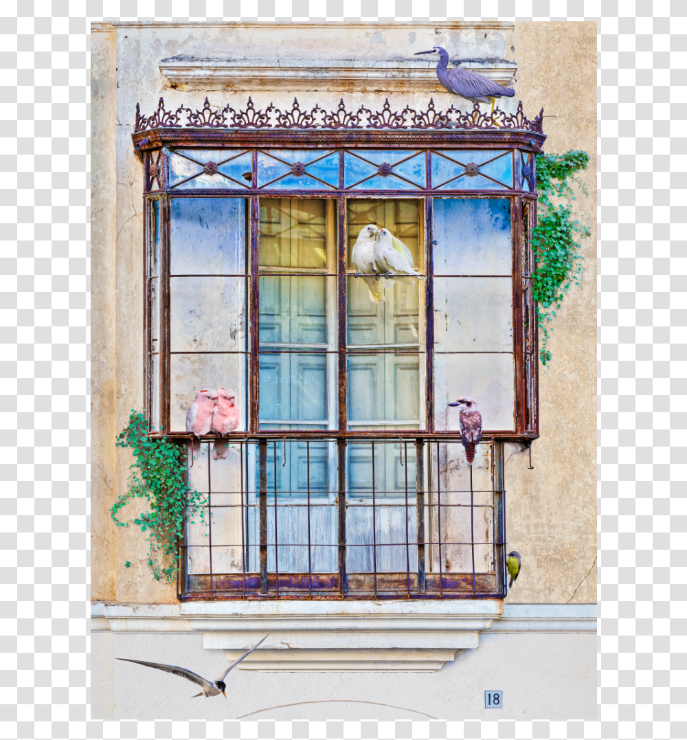 Balcon Web Sash Window, Home Decor, Bird, Animal, Window Shade Transparent Png