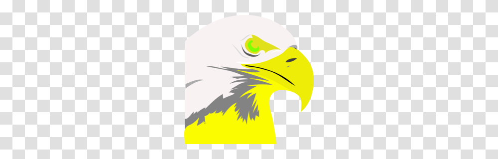 Bald Clipart, Eagle, Bird, Animal, Beak Transparent Png