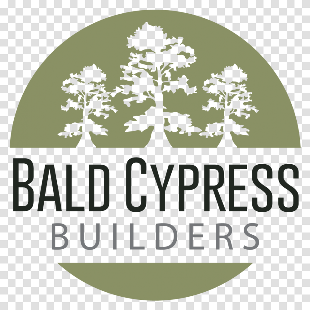 Bald Cypress Builders Jack Johnson Unforgivable Blackness, Tree, Plant, Oak, Poster Transparent Png