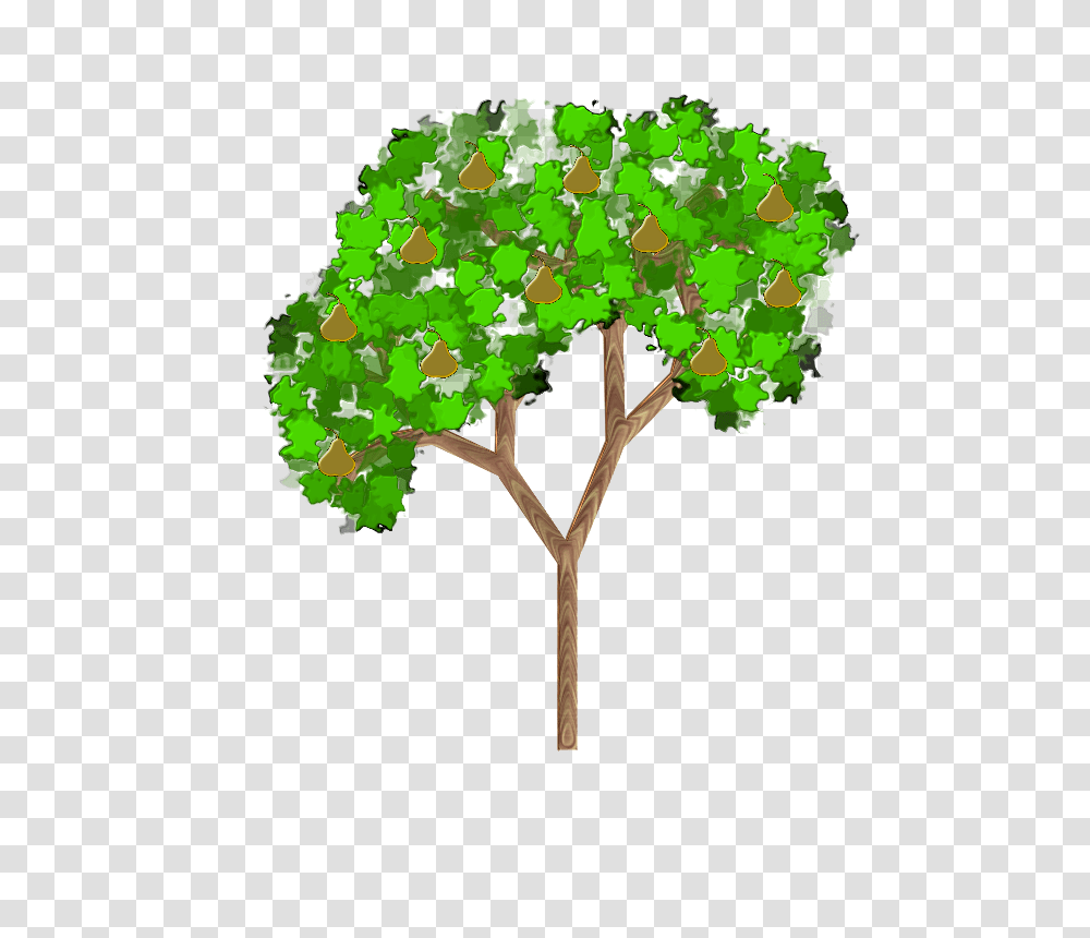 Bald Cypress Tree Clipart, Plant, Green, Vegetation, Leaf Transparent Png