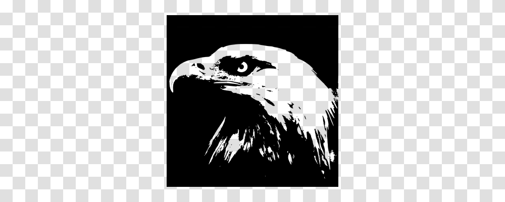 Bald Eagle Animals, Outdoors, Silhouette, Nature Transparent Png