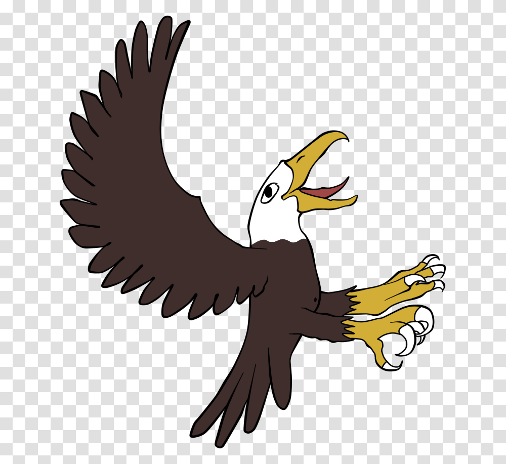 Bald Eagle, Animal, Bird, Puffin, Flying Transparent Png