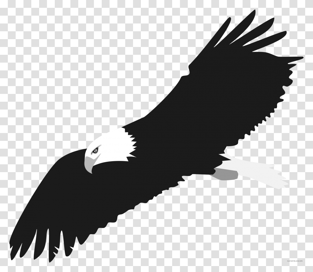 Bald Eagle Animal Free Black White Clipart Images Clipartblack Eagle Vector Clipart, Bird, Flying Transparent Png