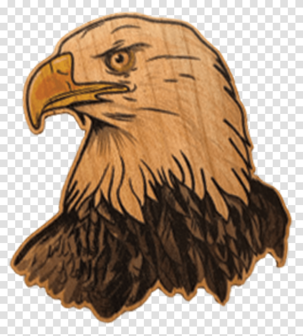 Bald Eagle Bald Eagle, Bird, Animal, Vulture, Beak Transparent Png