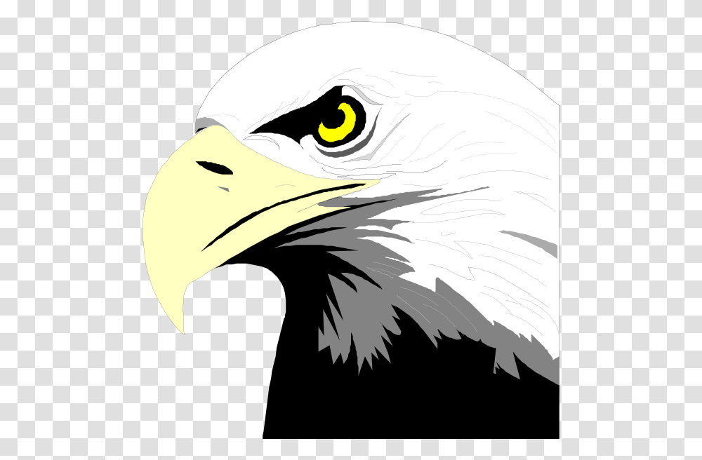 Bald Eagle Bald Eagle Head Clip Art, Bird, Animal, Beak Transparent Png