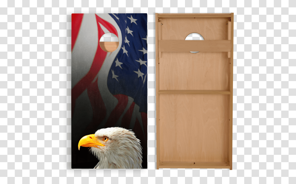 Bald Eagle, Bird, Animal, Chicken, Poultry Transparent Png